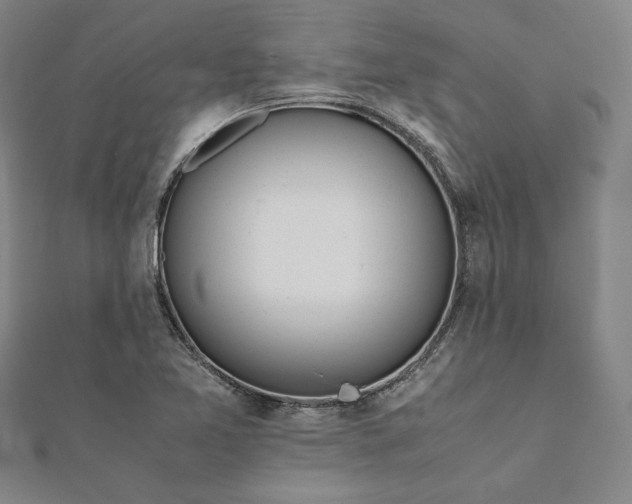 X0000111921365200908031156