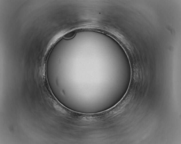 X0000111921366200908031156