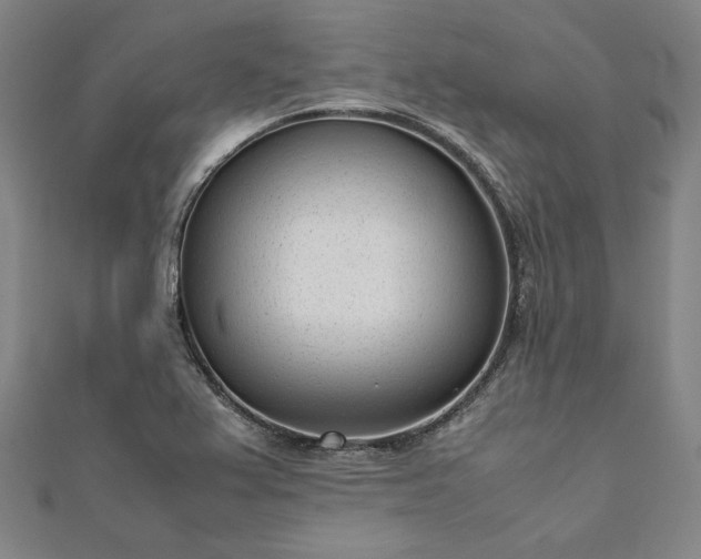 X0000111921367200908031156