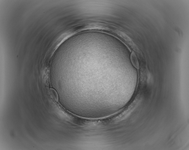 X0000111921369200908031156