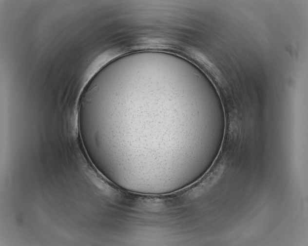 X0000111921370200908031156