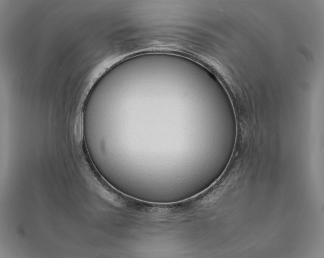 X0000111921371200908031155