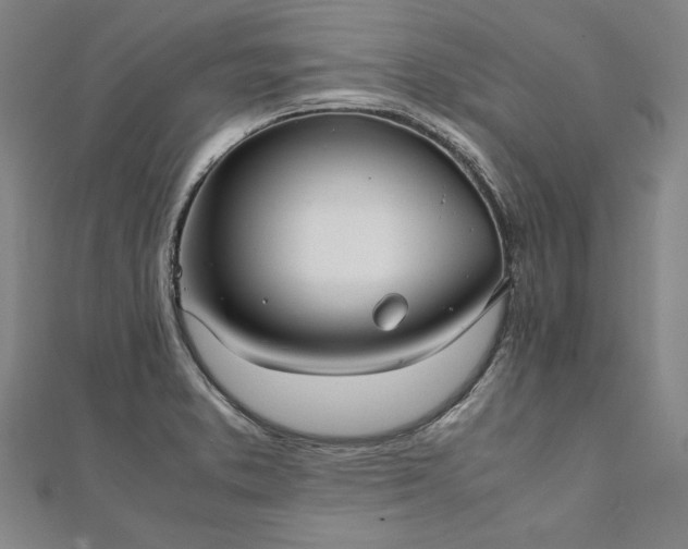 X0000111921373200908031155