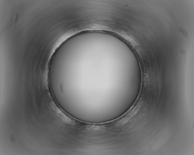 X0000111921374200908031155