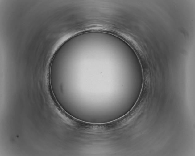 X0000111921375200908031155