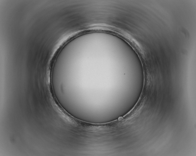 X0000111921376200908031155