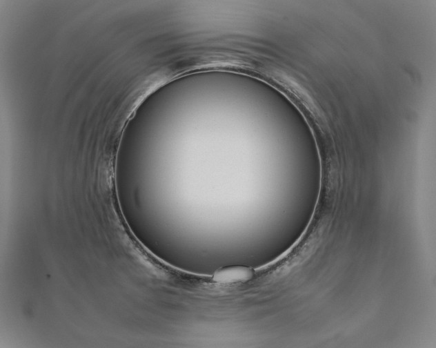 X0000111921377200908031155