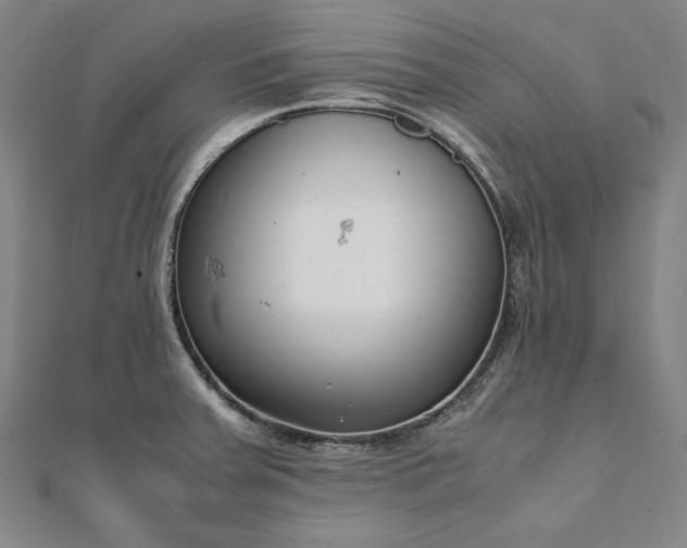 X0000111921379200908031155