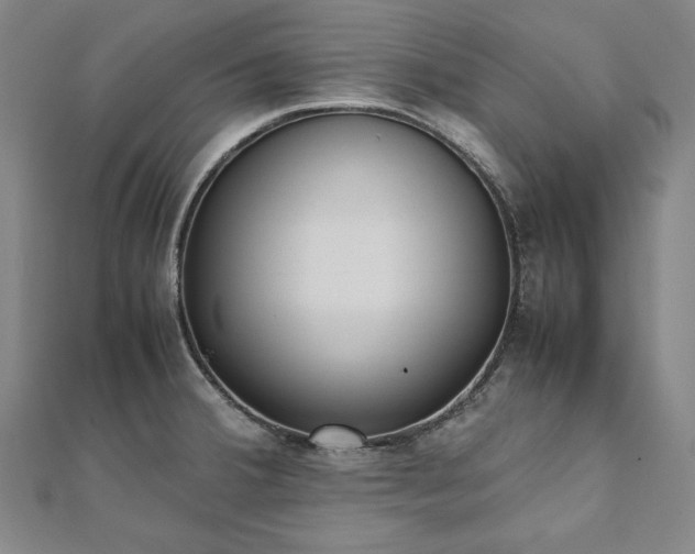 X0000111921380200908031155