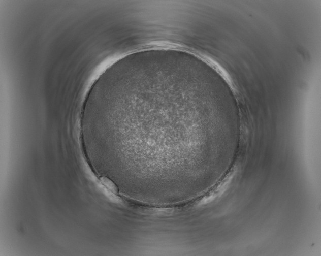 X0000111921381200908031155