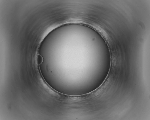 X0000111921382200908031155