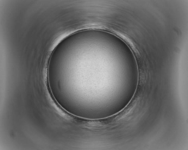 X0000111921383200908031155