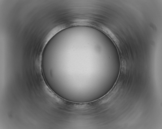 X0000111921386200908031155