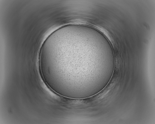 X0000111921387200908031155