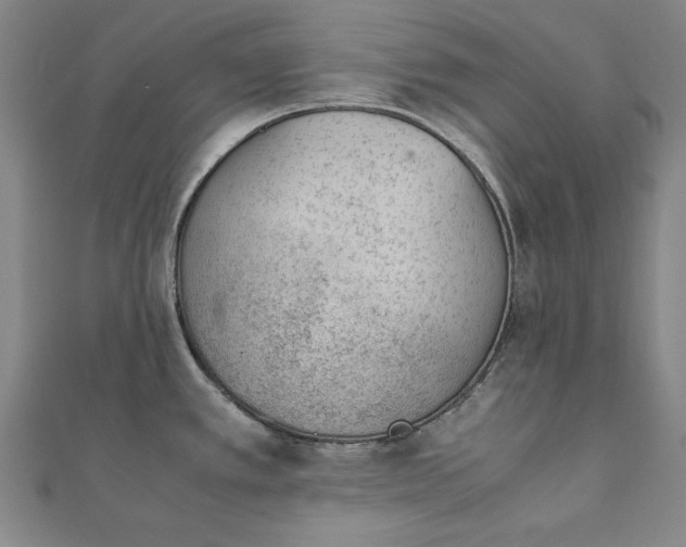 X0000111921389200908031155