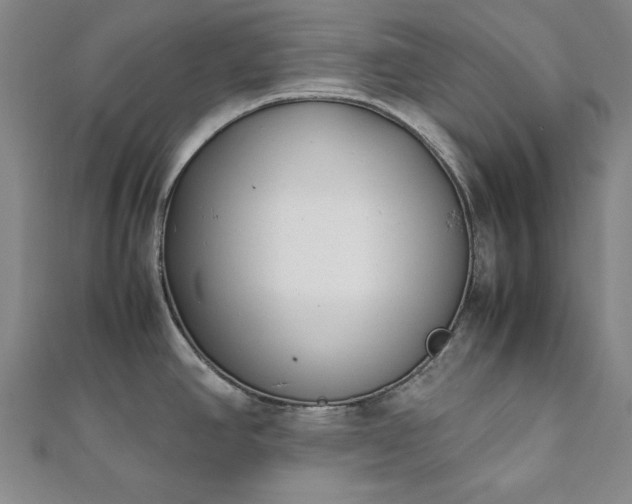 X0000111921390200908031155