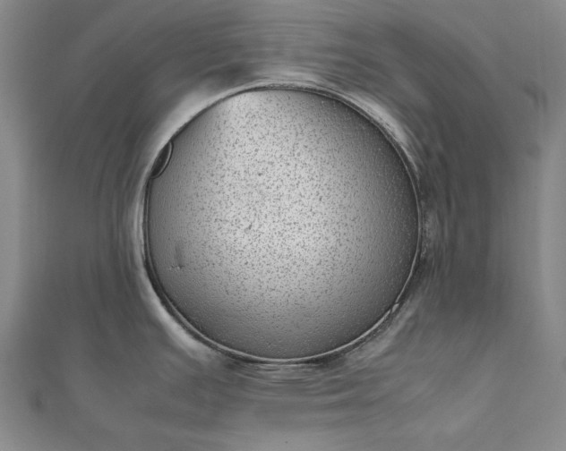 X0000111921391200908031155
