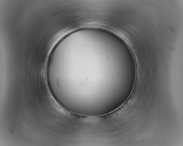 X0000111921392200908031155