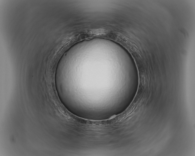 X0000111921393200908031155