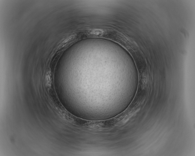 X0000111921394200908031155