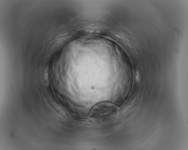 X0000111921396200908031155