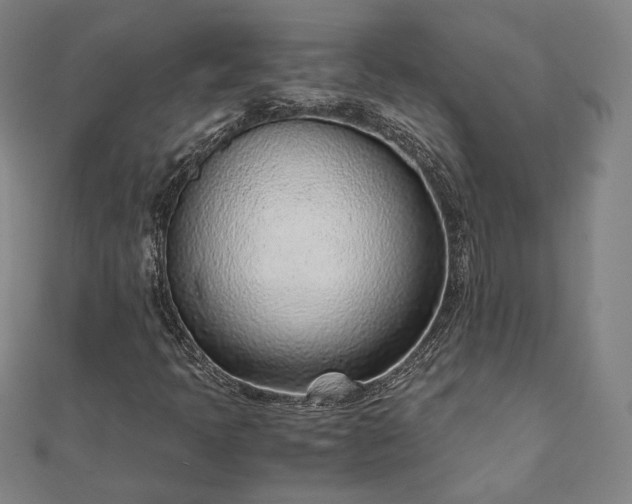 X0000111921397200908031155