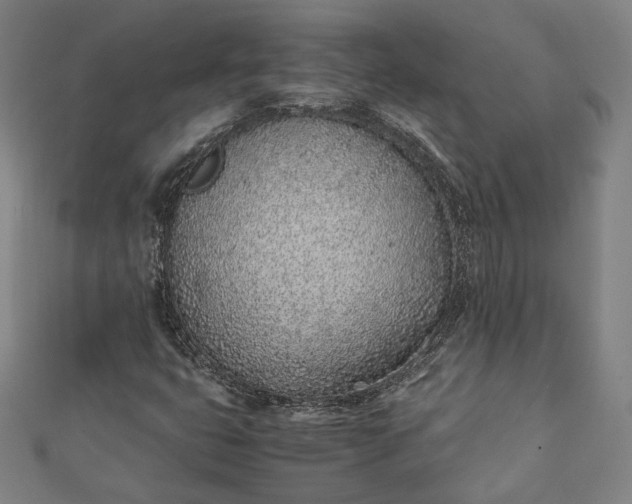 X0000111921399200908031155