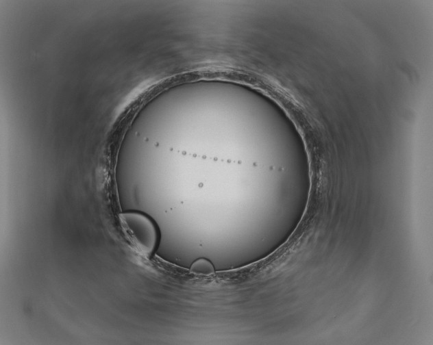 X0000111921400200908031155