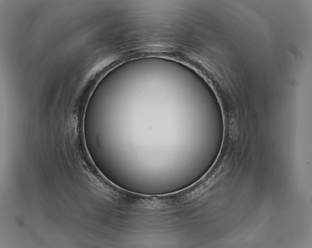 X0000111921402200908031155