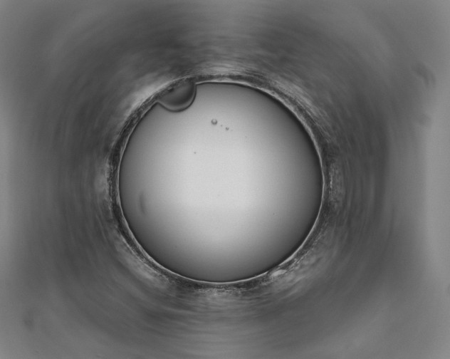 X0000111921404200908031155