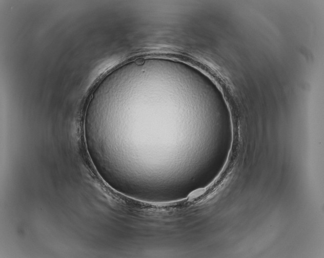 X0000111921405200908031155