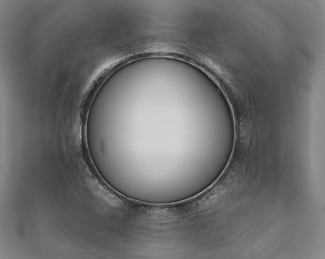 X0000111921408200908031155