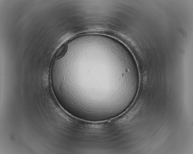 X0000111921409200908031155