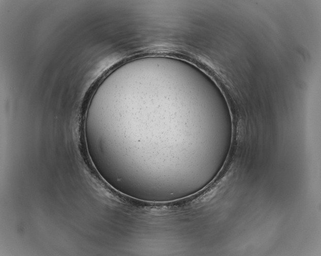 X0000111921410200908031155