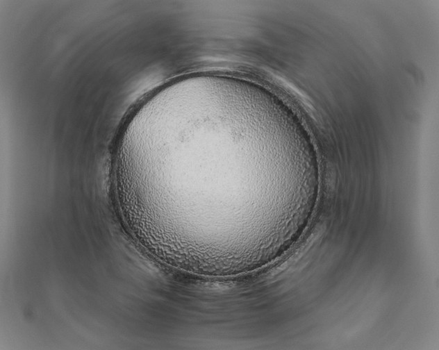 X0000111921411200908031155