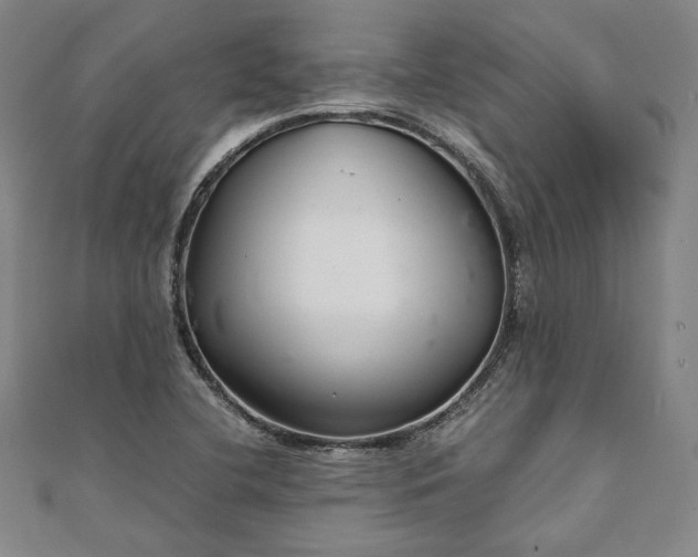 X0000111921412200908031155