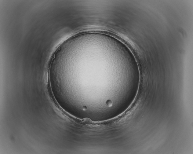X0000111921413200908031155