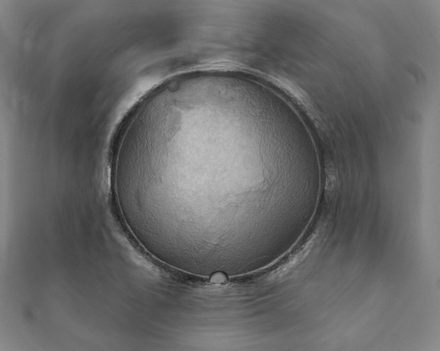 X0000111921414200908031155