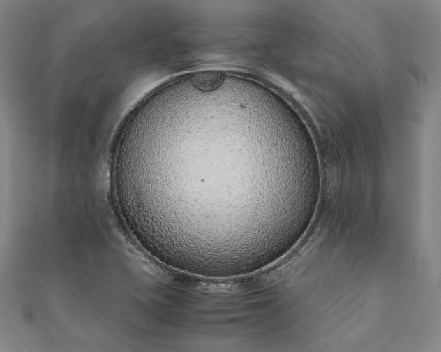 X0000111921415200908031155