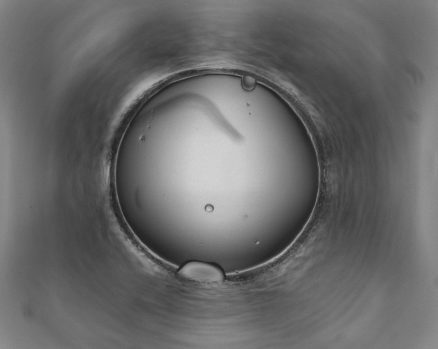 X0000111921416200908031155