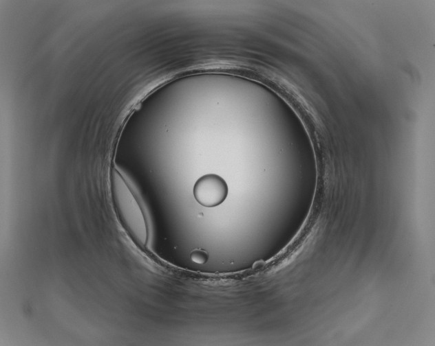 X0000111921417200908031155