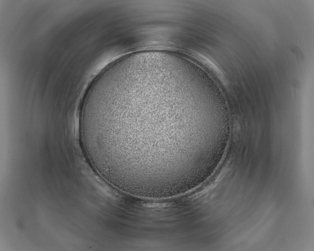 X0000111921419200908031155