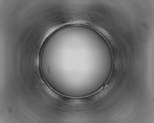 X0000111921420200908031155