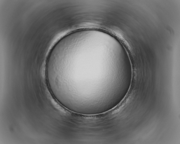 X0000111921421200908031155