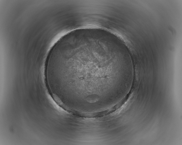 X0000111921422200908031155