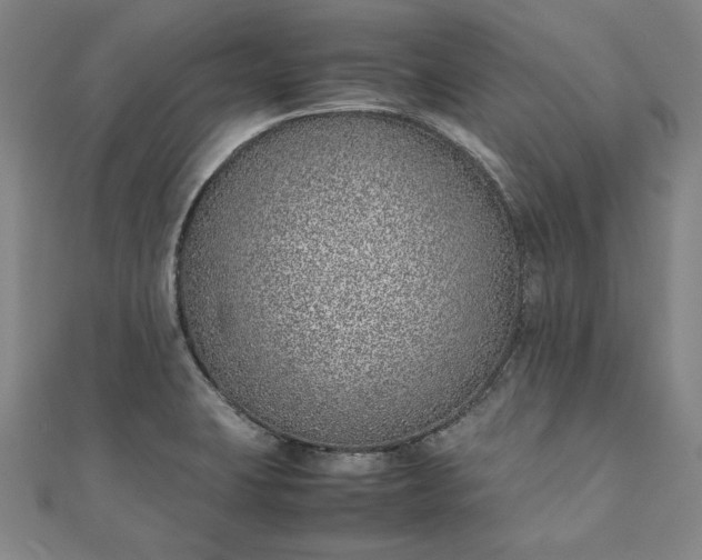 X0000111921423200908031155