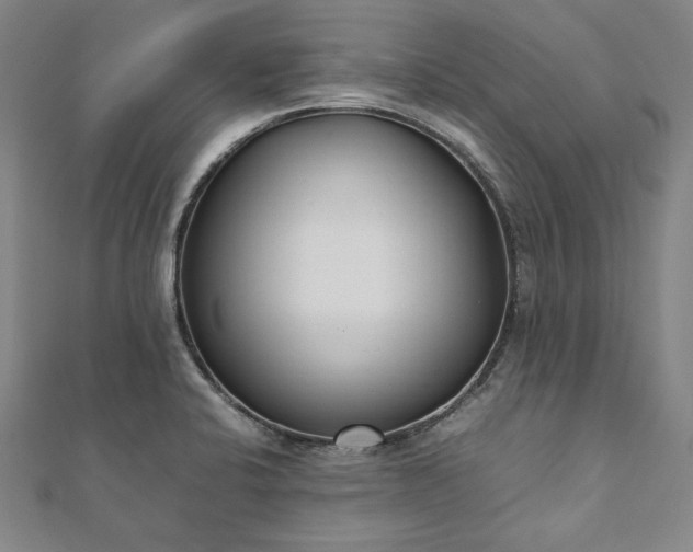 X0000111921424200908031155