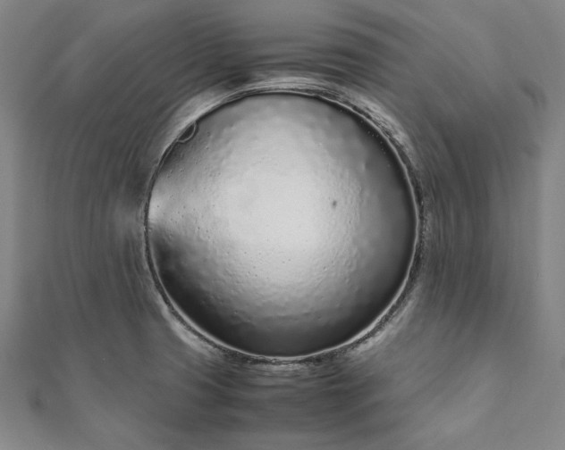 X0000111921425200908031155