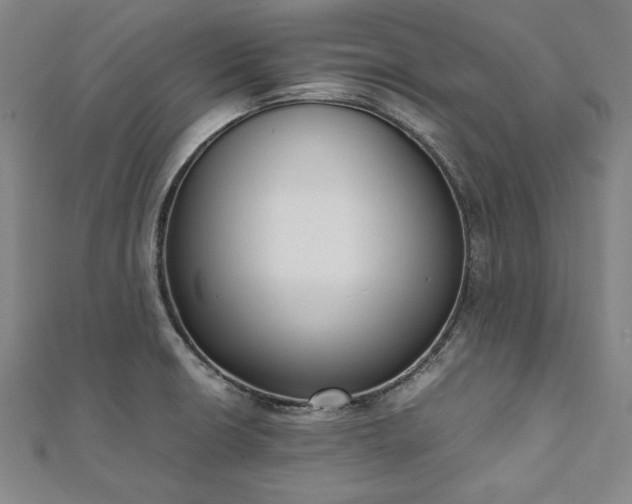 X0000111921426200908031155