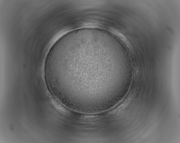 X0000111921427200908031155